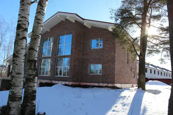 Большой загородный дом с видом на лес.