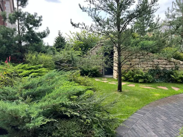 Английская история