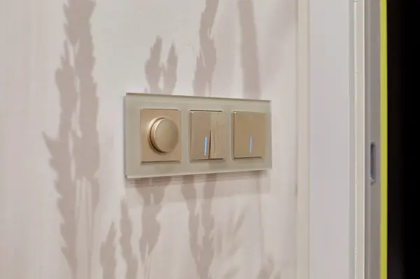 Werkel в новом проекте Риммы Мухаметзяновой и Ксении Бобриковой