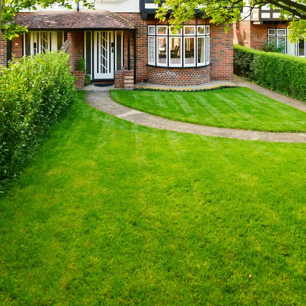 Завершенные проекты