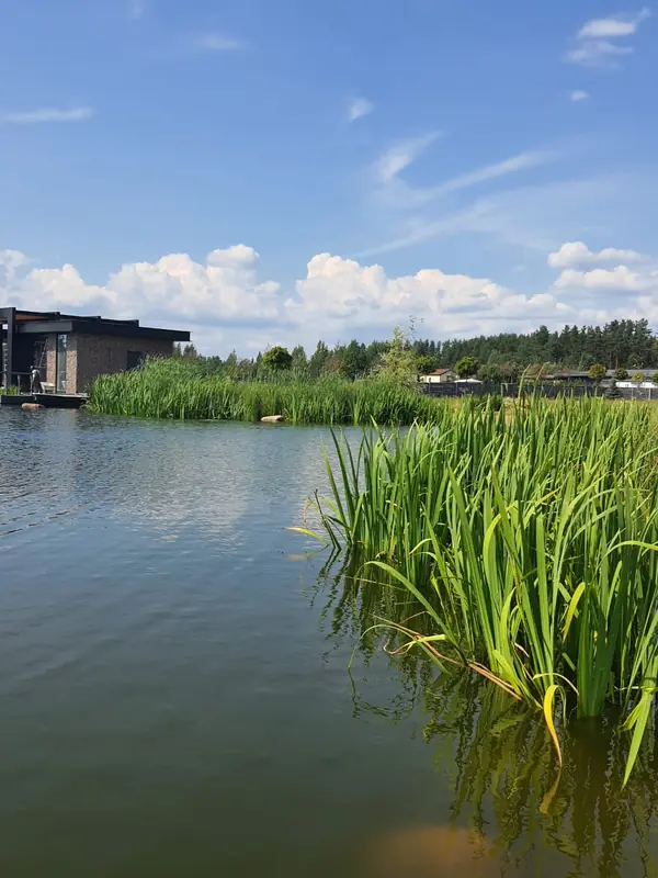 Декоративный водоём в п. Репино (Лен. обл.)