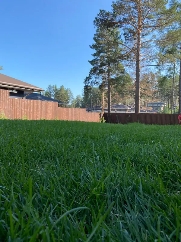 Проекты и благоустройство объектов