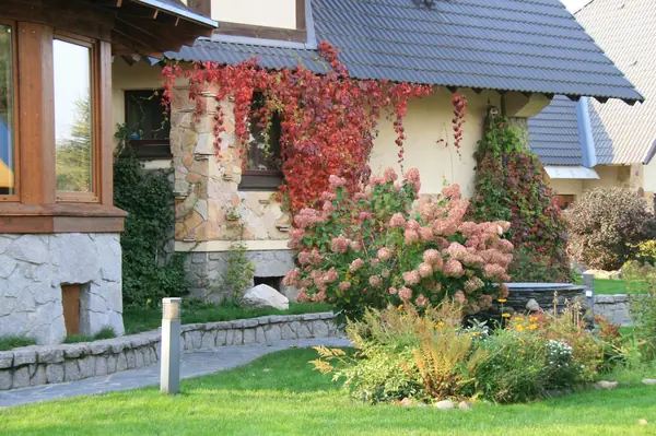 Guest house near Moscow-river