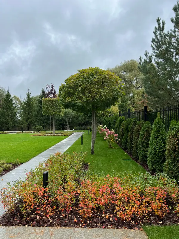 Сад в квадрате