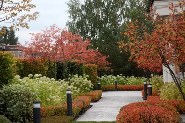 Тихая роскошь