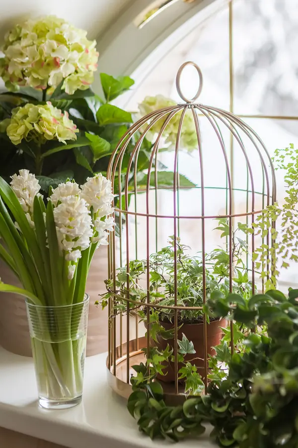 Английский сад