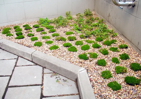 Москва-Сити, Северная башня, 2010 г.