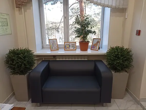 Растения для офисного пространства