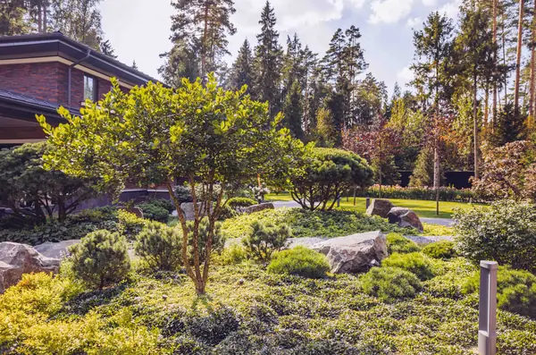 Архитектурное Решение в Пейзажном Стиле