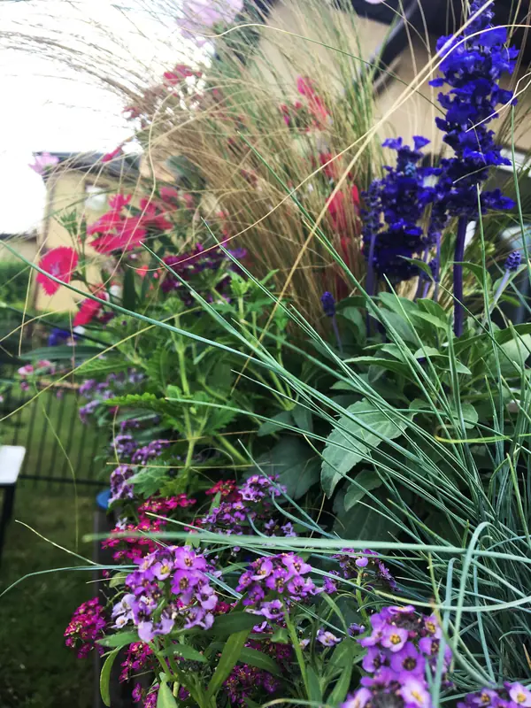 Терраса в Новых Вешках