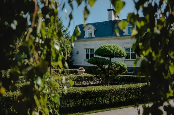 Регулярный сад