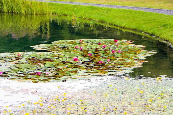 Харламово, 2010-2012 гг.