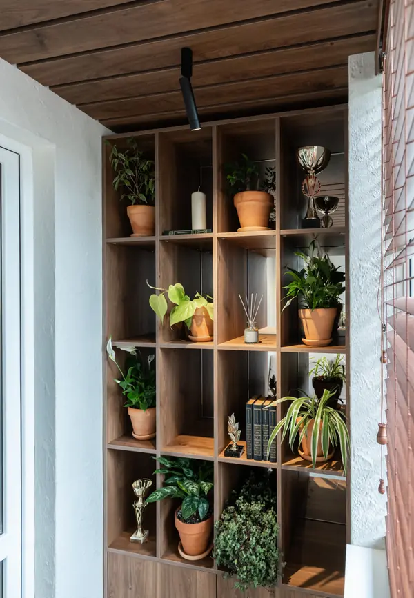 Тропическая рокировка