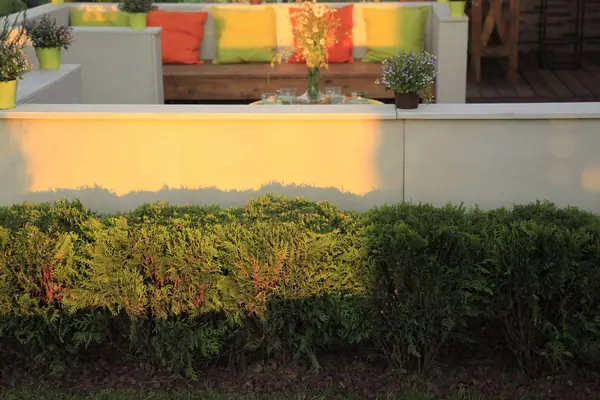 Программа Дачный Ответ