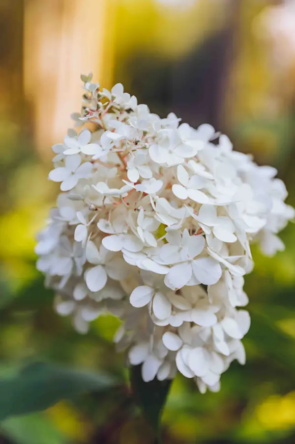 Архитектурное Решение в Пейзажном Стиле