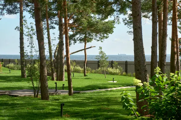 Золотые пески