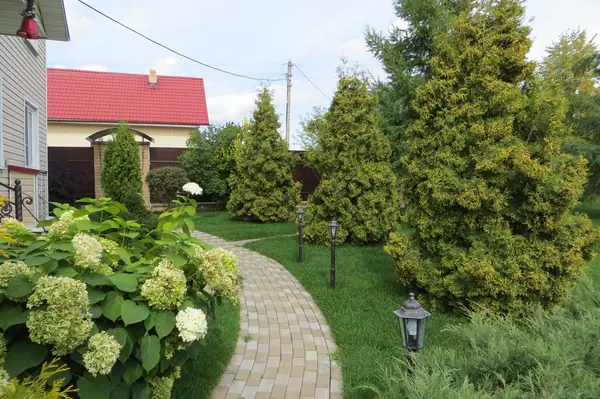 Ландшафт под Звенигородом