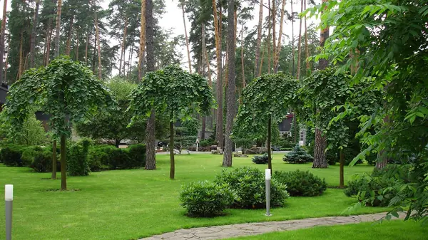 Ландшафтный сад в Горках 2