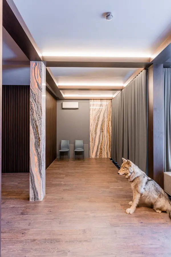 Личный кабинет с кинотеатром