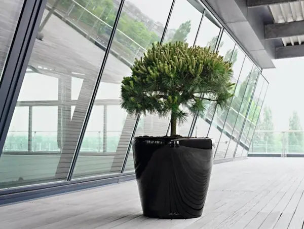 Неподвласные времени