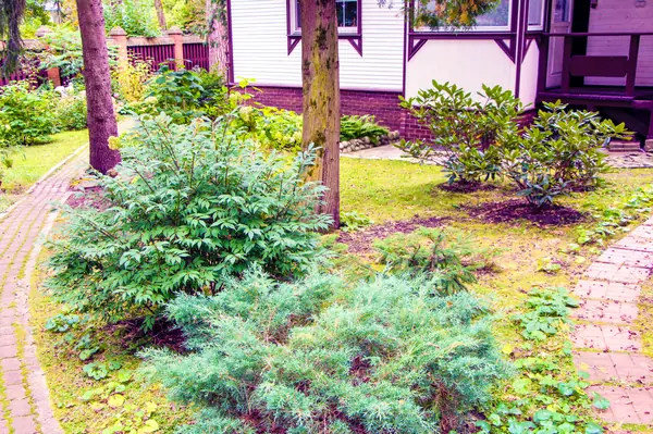 Баковка, 2018 г.