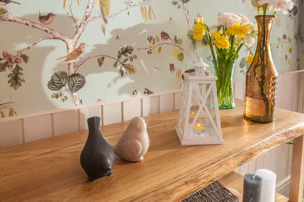 Проект для ТВ-Программы "Фазенда"