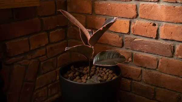 Квартира-студия в стиле лофт