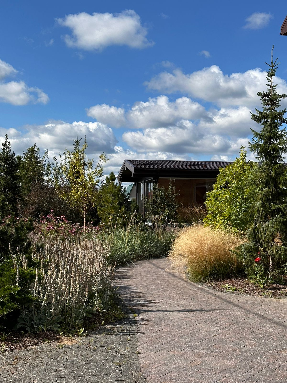 Обложка проекта: Частный сад Санкт-Петербург