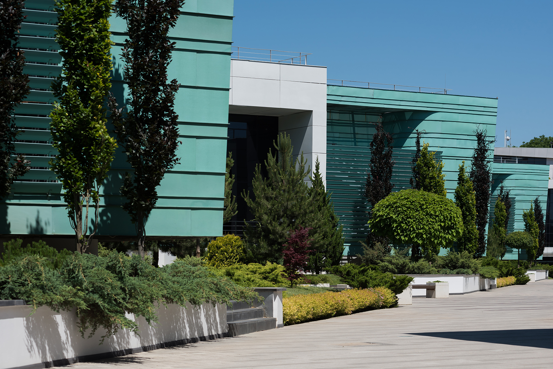 Обложка проекта: Озеленение Краснодар