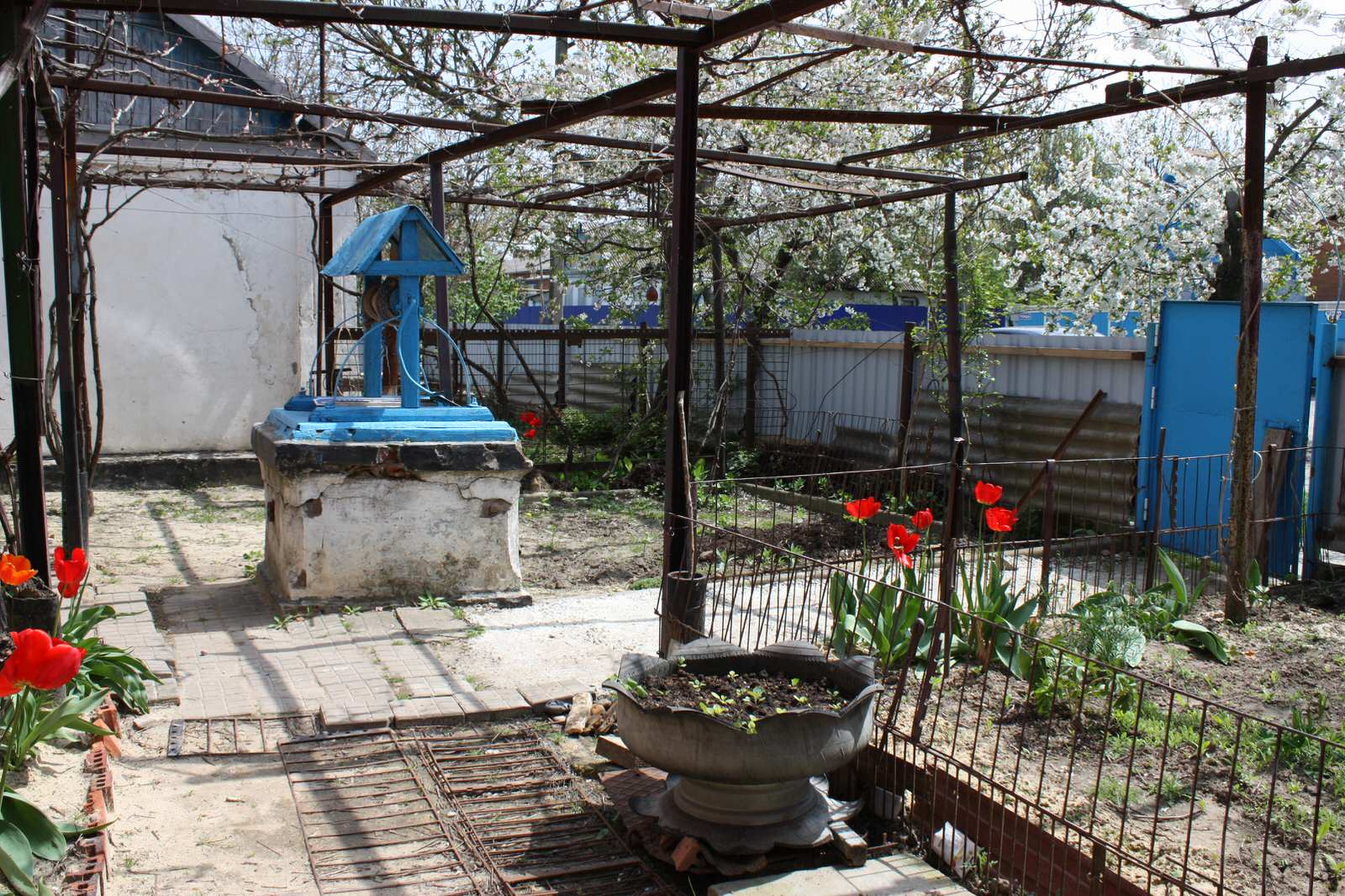 Modern Russian village