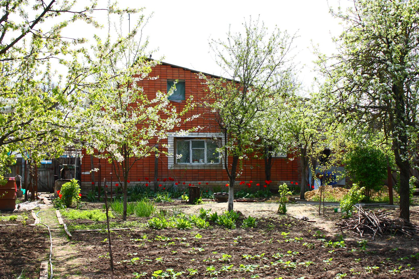 Modern Russian village