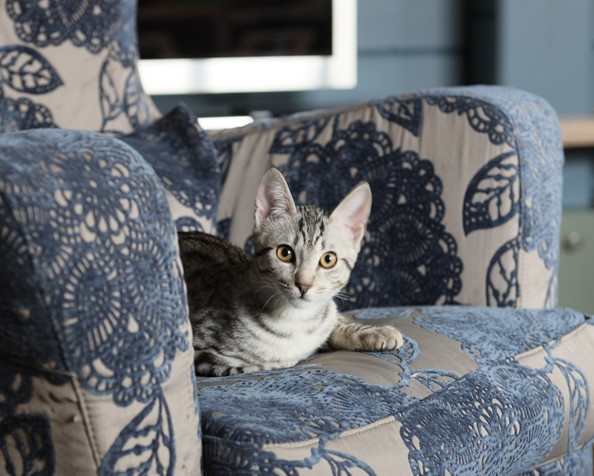 Фоновое изображение профиля Марина Брагинская