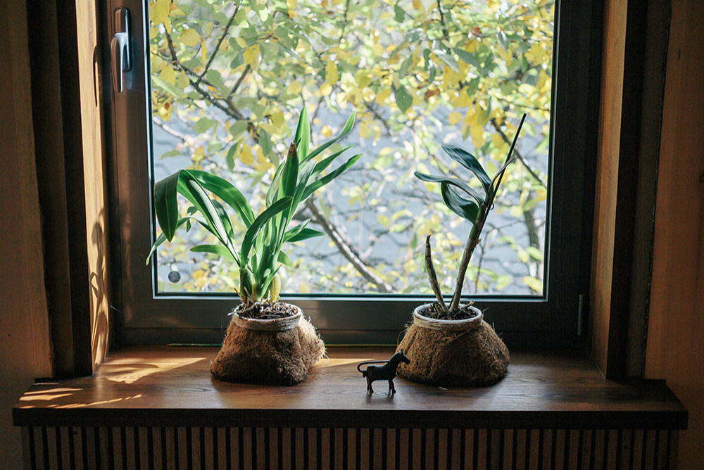 Экология жилья: А что у них — в Европе и Азии