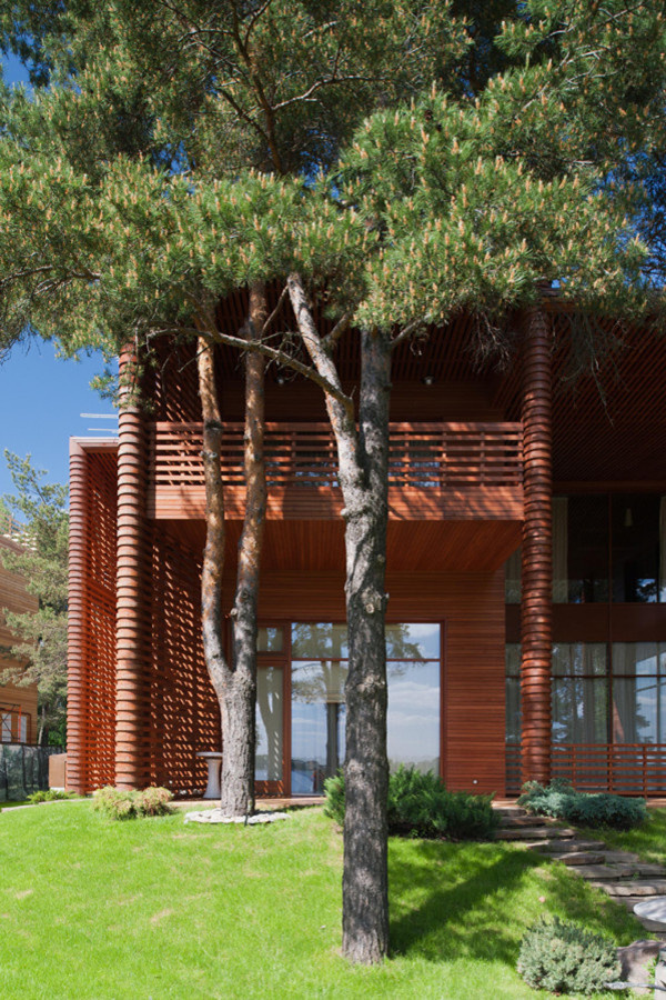 6 соток и меньше: Стратегии выбора растений