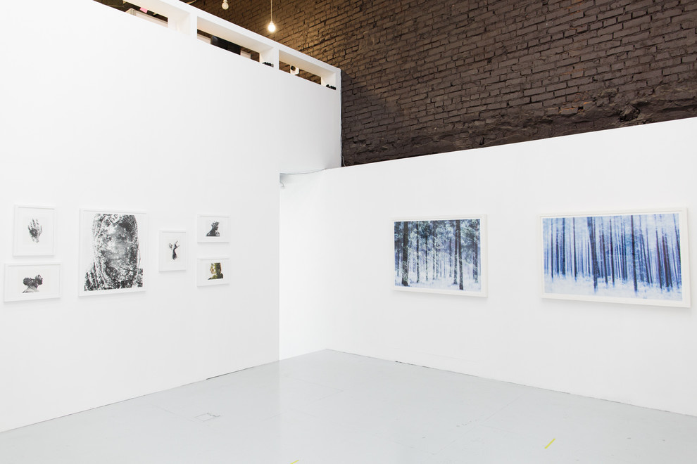 Алена Курмашева