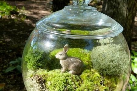 Флорариум. Что это такое и с чем его едят?