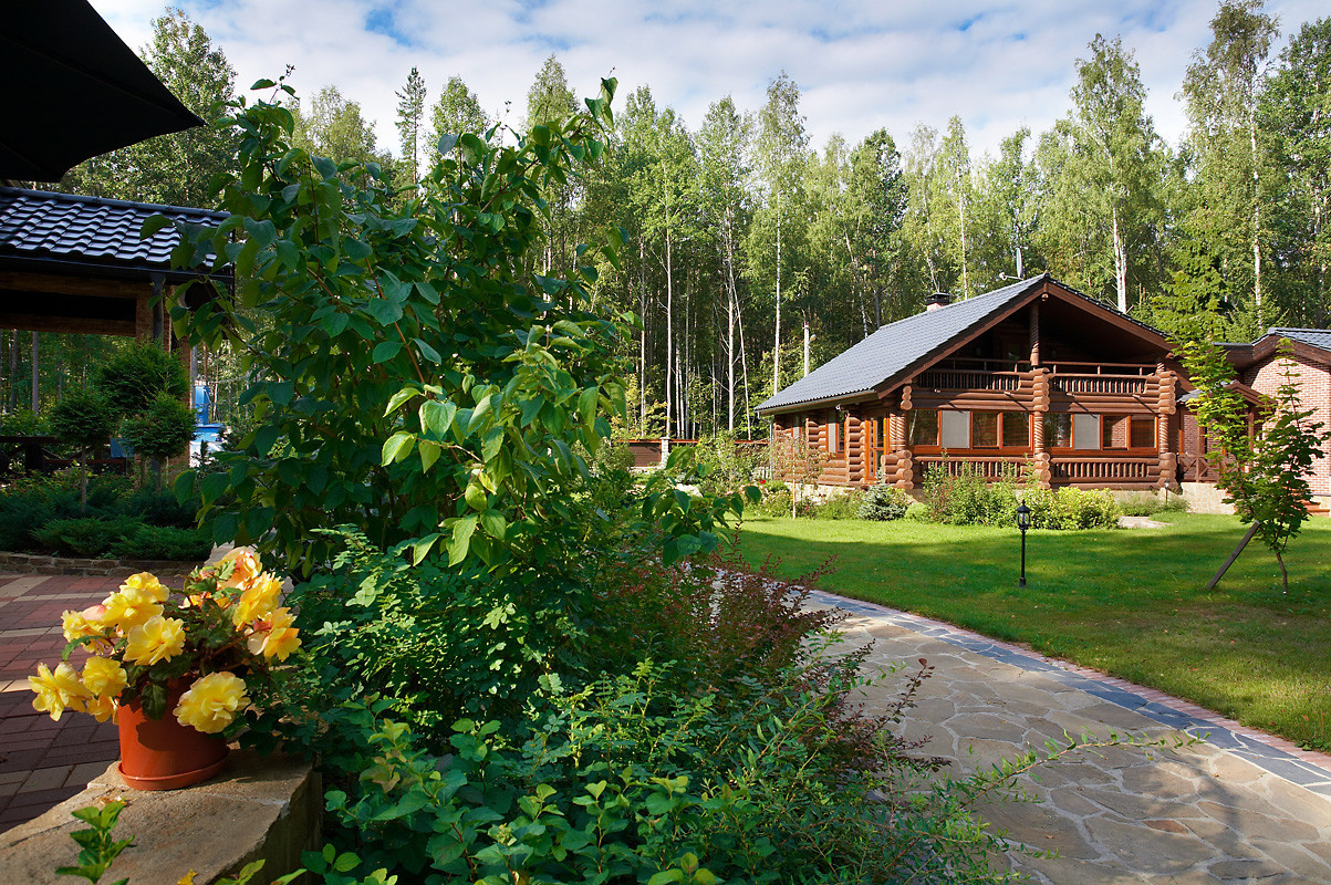 Готовимся к зиме: Выбор морозоустойчивых деревьев и кустарников