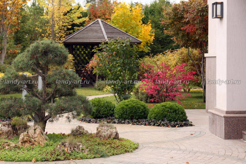 Фоновое изображение профиля Svetlana Chizhova