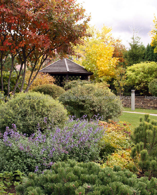 Нарядный сад