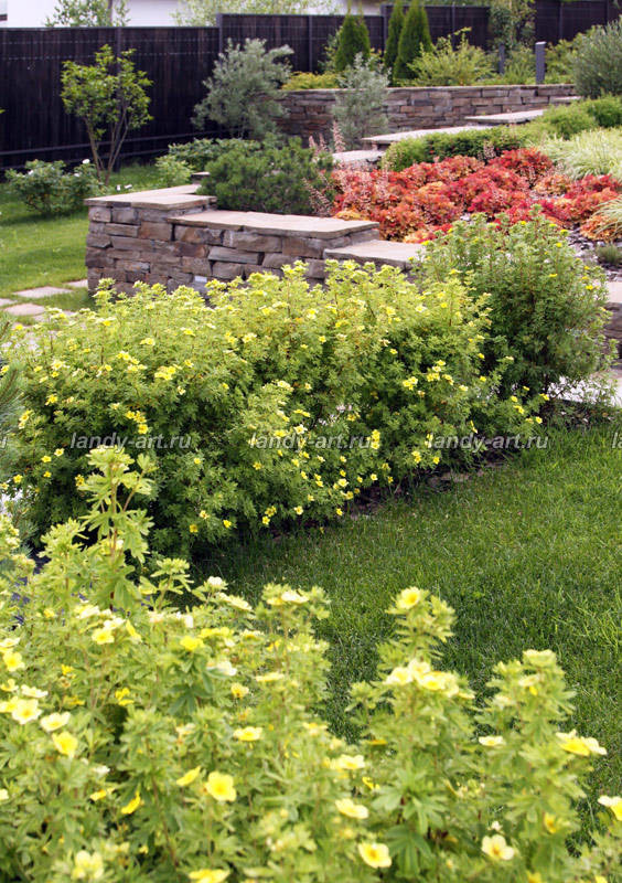 Современный сад на склоне