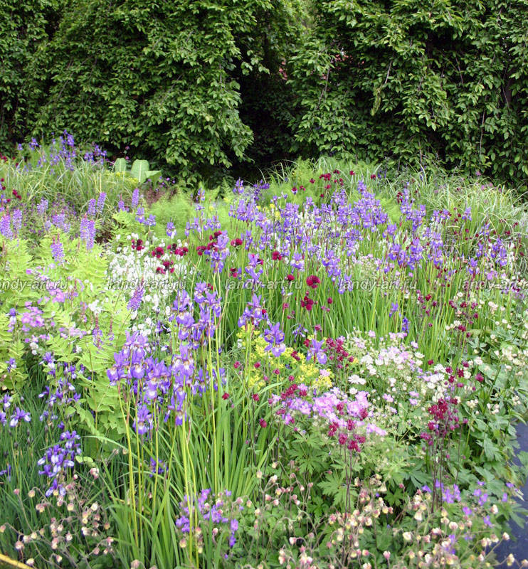 Цветники-миксбордеры.