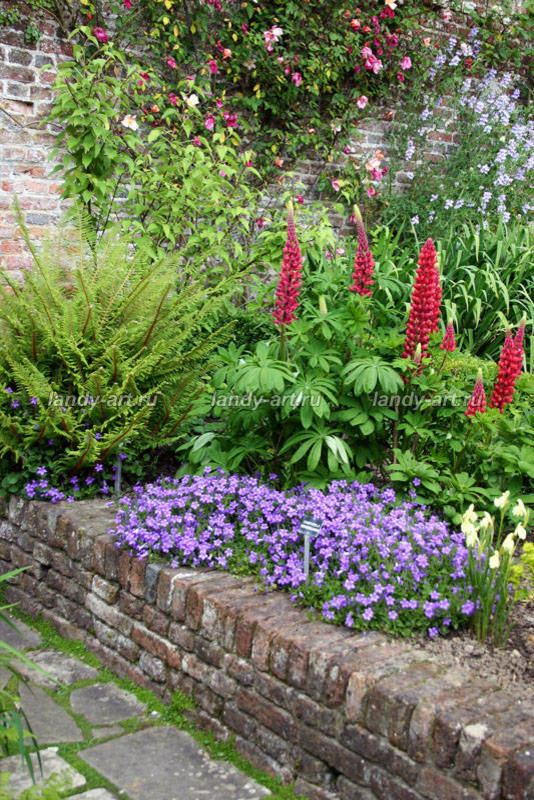 Цветники-миксбордеры.