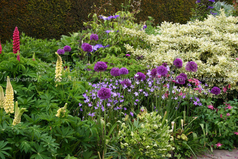 Цветники-миксбордеры.