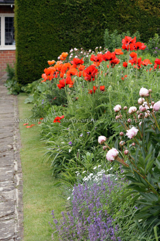 Цветники-миксбордеры.