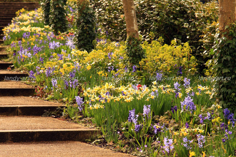 Цветники-миксбордеры.