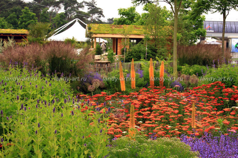 Цветники-миксбордеры.