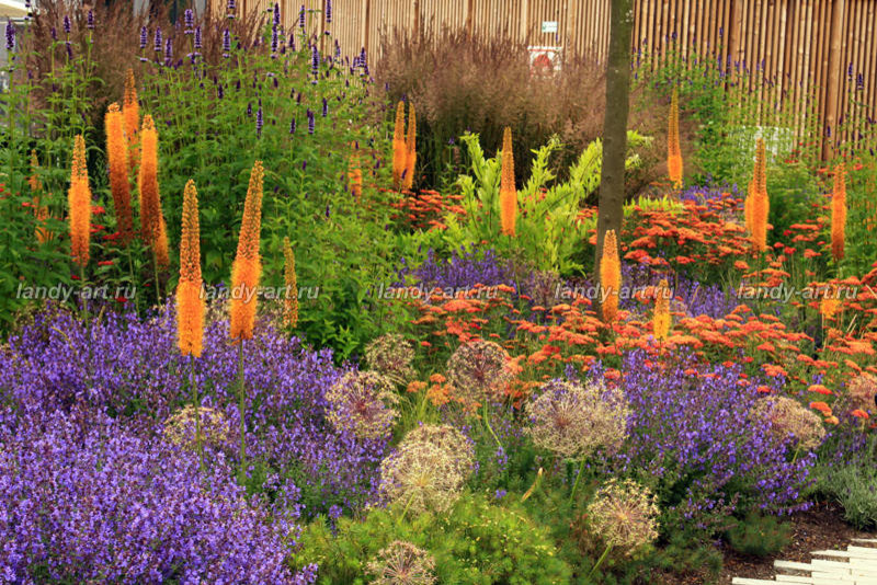 Цветники-миксбордеры.
