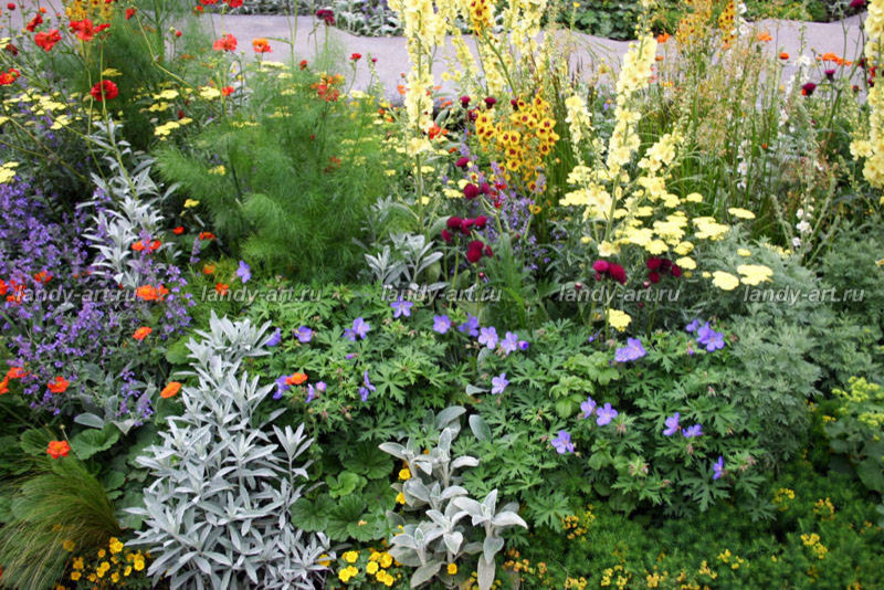 Цветники-миксбордеры.