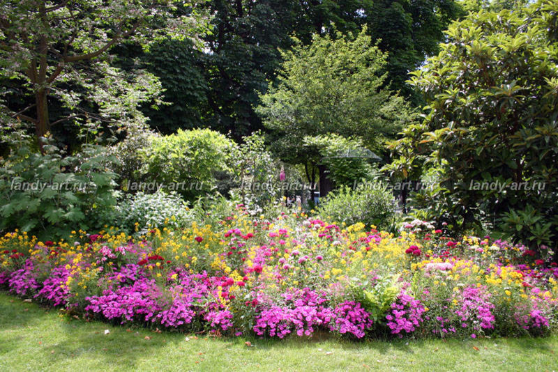 Цветники-миксбордеры.