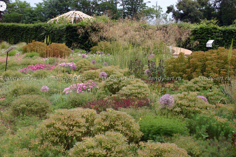 Цветники-миксбордеры.